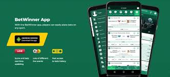 BetWinner Bonus Offers and Promotions